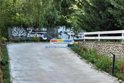 Teren de 843 mp, în Buftea - 4