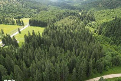 Teren de 5000 mp, în Comandău - 2