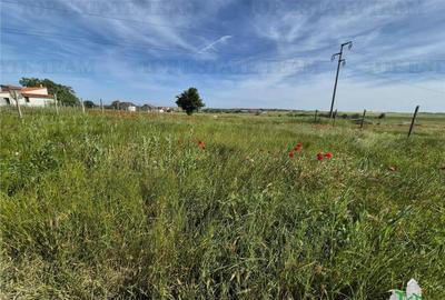 Teren intravilan Techirghiol - 4