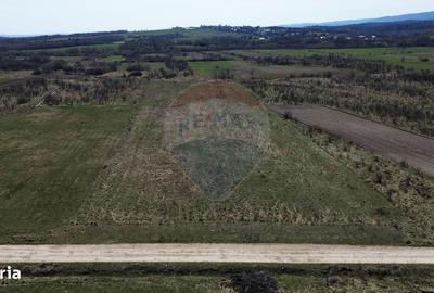 Spațiu comercial, în Marginea - 5