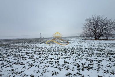 Teren agricol extravilan de 13841 mp, în Itești - 7