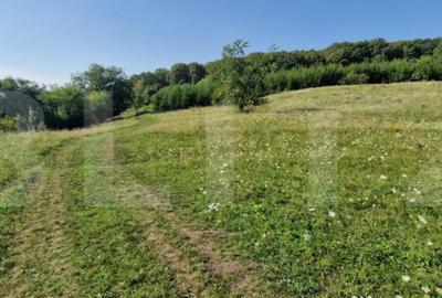 Teren de 10000 mp, în Central