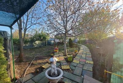 Casă cu 3 camere cu Teren 1115 Mp în Poarta Albă - 2