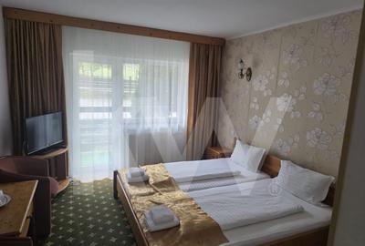 Investitie Premium in Inima Muntilor Cindrel - 10