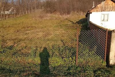 Casă cu 2 camere cu Teren 3754 Mp în Costișa - 6