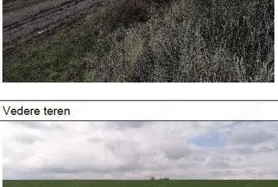 Teren extravilan Tiganasi, cota parte 1/5, ID: R2822453 - 3