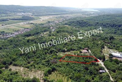 Teren de 2270 mp, în Valea Brazilor - 3