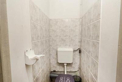 Spatiu comercial-productie de inchiriat Bd Magheru - 10