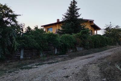 Ciolpani, spre Izvorani - COR, vanzare teren 5000mp. - 1