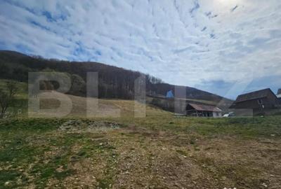 Teren în Central - 7