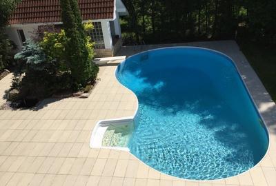 Casă individuală cu 6 camere cu Piscina în Iancu Nicolae