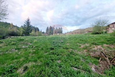 Teren cu vedere la Muntele Ceahlau - 4