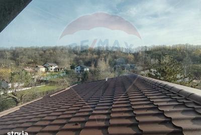 Casă cu 5 camere cu Teren 4000 Mp în Răzvad - 7