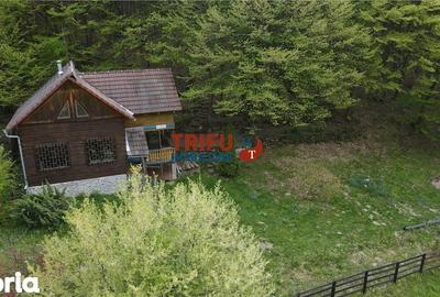 Casă cu 4 camere cu Teren 891 Mp în Ighiu - 14