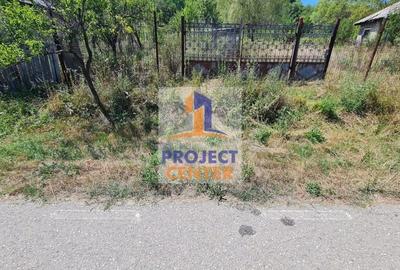 Casă cu 3 camere cu Teren 4525 Mp în Băbana - 10