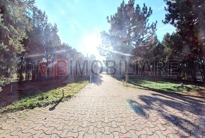 Vila deosebita pe Malul Lacului Grivita – Confort si Eleganta! - 4