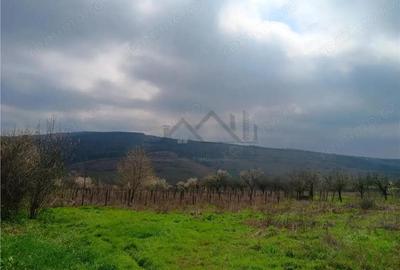 Teren de 46000 mp, în Dorobanț - 4