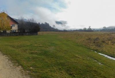 Teren intravilan cu PUZ + autorizație în curs, Râșnov – Strada Predeal - 5