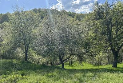 Casă cu 3 camere cu Teren 1000 Mp în Vulcan - 2