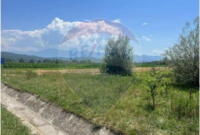 Oportunitate Unica de Investi?ie 14.800 mp Teren St... - 4