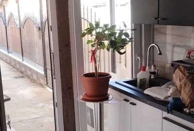 Casă în Paltiniș - 6