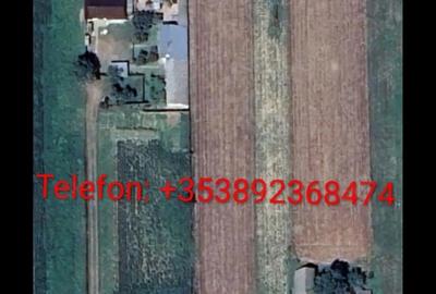 Spațiu comercial, în Central - 1