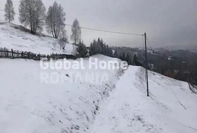 Teren 725 MP | Moieciu de Jos | Piatra Craiului | Oportunitate de investitie | - 5