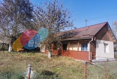 Casa individuala 100mp cu teren 8000mp - 7