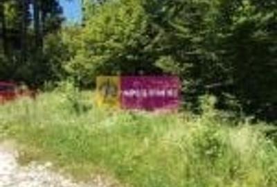 Teren Intravilan de Vanzare Sinaia - 3