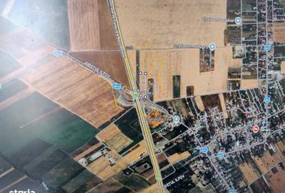 Teren de 8166 mp, în Ciorogârla - 5