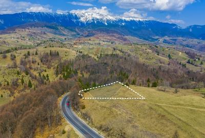 Teren Construcții intravilan de 2000 mp, în Fundata - 3