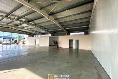 Hala mixta 800 mp de inchiriat – showroom, birouri, depozit – Arad - 5