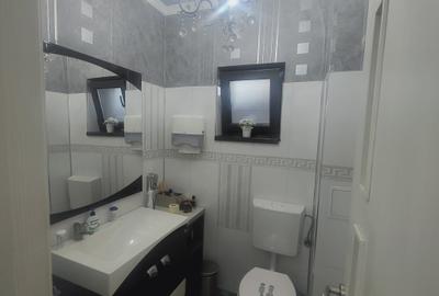 FUNDENI-DOBROIESTI, vila 2014 P+M, singur curte - 12