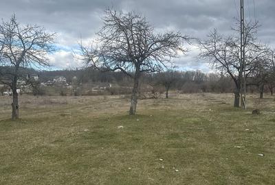 Spațiu comercial, în Voila - 2