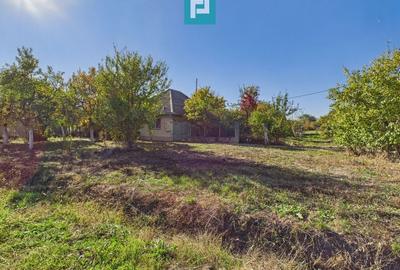 Teren intravilan de 1363 mp în Mândruloc - 7