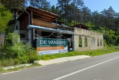 Casă cu 7 camere cu Teren 5000 Mp în Surduc - 3