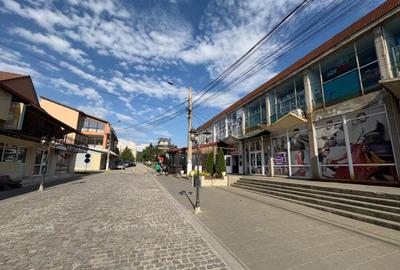 Spa?iu comercial *Bumbe?ti Jiu, str. Grigore Alexandru Ghi - 10