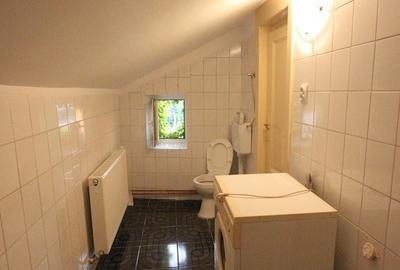 Apartament 2 camere in vila, Hala Traian - 13