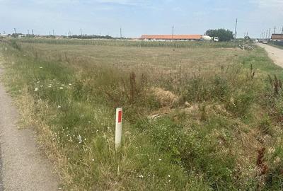 Teren de 2000 mp, în Măldăeni - 3