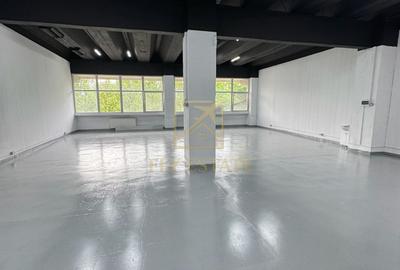 Spațiu industrial, de 180 mp, în Theodor Pallady - 3