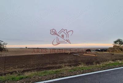 Teren 910 mp cu casa veche Seceani - 30 km de Timi?oara - 4