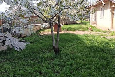 Casă cu 2 camere în Dumbrava - 1