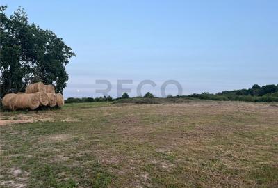 Teren de 903 mp, în Paleu - 3