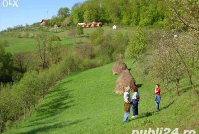 Teren de 18000 mp, în Moneasa - 3