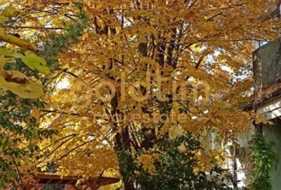 Casă individuală cu 5 camere cu Canalizare în Iancu Nicolae - 14