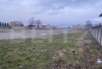 Teren de 8000 mp, în Cornu Luncii - 4