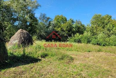 Teren intravilan in Poiana Campina 4285 mp parcelabil 11,6e - 4