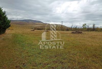Teren 3800 Mp Ghioroc cu Utilitati - 3