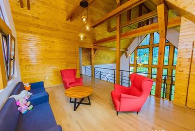 Casă cu 7 camere cu Teren 6370 Mp în Groși - 4