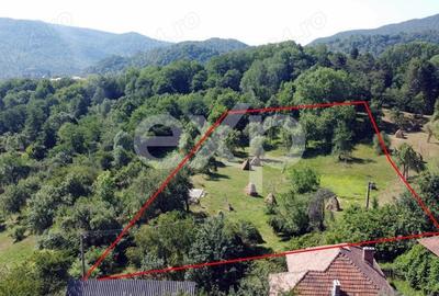 Teren Construcții intravilan de 6348 mp, în Corbeni - 6